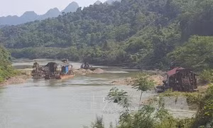 Phó Thủ tướng Trương Hòa Bình: Quyết tâm đẩy lùi nạn 'cát tặc'