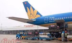Dừng khai thác, lùi giờ bay 6 chuyến bay Vietnam Airlines do bão Nesat