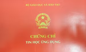 Huyện Tây Trà bổ nhiệm cán bộ sai qui định do thiếu văn bằng, chứng chỉ 'phụ'