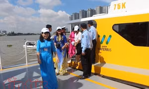 TP Hồ Chí Minh