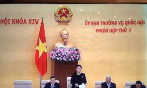 Chủ tịch Liên đoàn luật sư đề nghị cân nhắc trách nhiệm hình sự của luật sư 