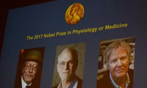 Giải Nobel Y học 2017 thuộc về 'nhịp sinh học' của 3 nhà khoa học Mỹ