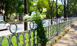 Tháng tư trong tay áo
