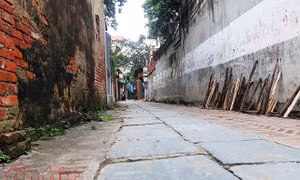 Con đường lát đá xanh độc đáo nhất Việt Nam