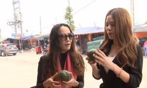 Giám khảo Sing My Song Giáng Son trổ tài chọn cam an toàn