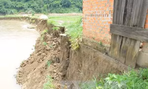 Sạt lở bờ sông Krông Nô đe dọa 'nuốt chửng' nhà dân