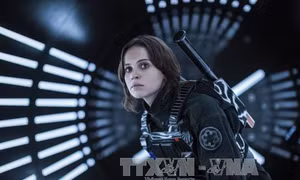 Sức lan tỏa bất diệt của của các chiến binh Ngân Hà trong 'Star Wars: The Last Jedi'