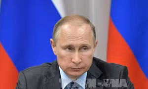 Tổng thống Nga Putin vẫn chưa quyết định tái tranh cử