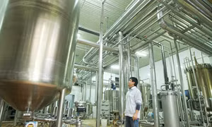 Tập đoàn Hương Sen nâng tầm chất lượng sản phẩm Việt