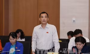 Ghi nhận những kiến nghị về sửa đổi Luật Thuỷ sản