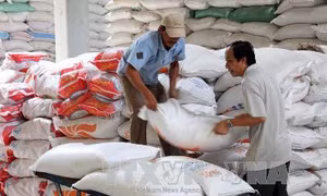 Gia hạn thỏa thuận thương mại gạo với Philipin đến hết năm 2018 
