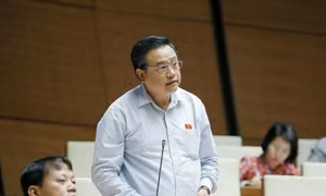 Thủ tướng bổ nhiệm nhân sự tại Ban Cơ yếu Chính phủ và PVN