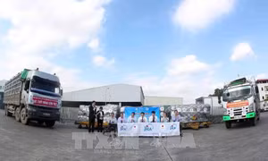 Tiếp nhận hàng viện trợ của Nhật Bản cho các tỉnh bị thiên tai