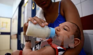 Kinh tế Mỹ Latinh chịu thiệt hại nặng nề do Zika 