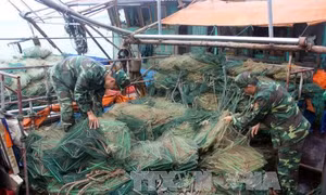 Quảng Ninh cấm sử dụng lồng bát quái đánh bắt thủy sản từ 1/1/2018 