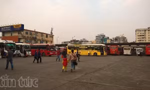 Lãnh đạo Chính phủ yêu cầu điều tra vụ 'ép DN vận tải đóng tiền bảo kê' 