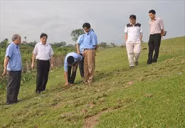Hưng Yên xuất hiện vết nứt trên đê tả sông Hồng 
