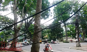 Hà Nội yêu cầu cơ quan chức năng trả lời phản ánh của báo Tin Tức