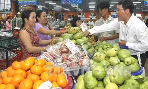 Khan hàng, giá xoài cát Hòa Lộc tăng cao 'kỷ lục'