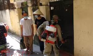 Hà Nội: Xử lý nghiêm nếu phát hiện có tiêu cực trong phòng, chống sốt xuất huyết 