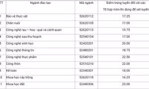 Học viện Ngân hàng: Tối thiểu 17,25 điểm mới đỗ