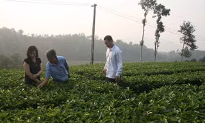 Giảm nghèo bền vững ở huyện nghèo