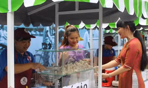 TP Hồ Chí Minh