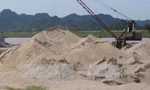 TP Hồ Chí Minh tổ chức kiểm tra chất lượng, giá cát xây dựng 