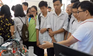 Đề nghị các doanh nghiệp cung cấp thông tin về nhu cầu đào tạo, sử dụng lao động