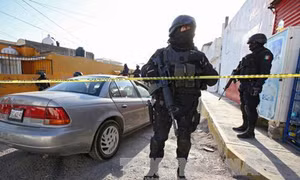 Mexico báo động 6 bang vì nguồn phóng xạ bị đánh cắp