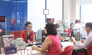 TP Hồ Chí Minh