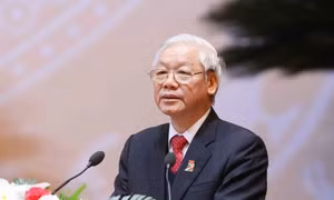 Phát huy vai trò xung kích, tình nguyện, sáng tạo của thanh niên 