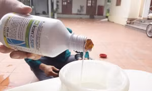 Thanh Hoá phát hiện ổ dịch sốt xuất huyết đầu tiên