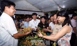 Lễ hội tôn vinh nhãn lồng Hưng Yên