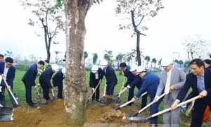 Nhân dân Thủ đô gương mẫu đi đầu và hăng hái thi đua trong việc trồng cây xanh 