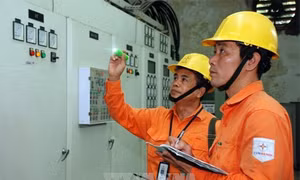 Việt Nam có nên mua điện có điều kiện từ Lào và Campuchia? 