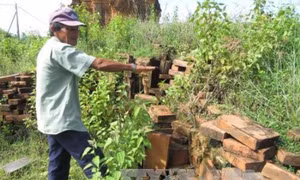 Phản hồi về việc Di tích quốc gia đặc biệt tháp Hòa Lai xuống cấp