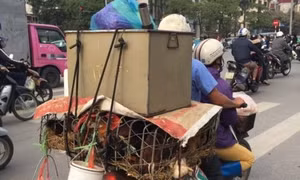 Phớt lờ lệnh cấm, vẫn vô tư giết mổ gia cầm tại chợ dân sinh