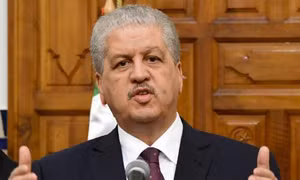 Algeria kêu gọi quốc tế có hành động chung để chống khủng bố 