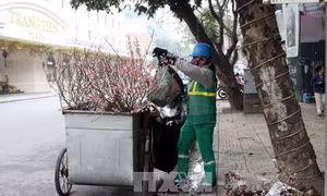 Những người thầm lặng làm đẹp Thủ đô ngày Tết
