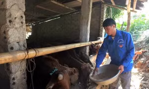Thanh niên vùng biên vượt khó khởi nghiệp 
