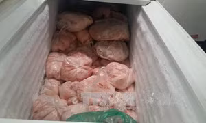 Cao Bằng: Phát hiện kho đông lạnh chứa hàng nghìn kg thịt lợn không rõ nguồn gốc