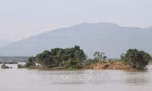 Sóng ngầm sông Lô: Kỳ 1: Tàn phá đất nông nghiệp, đe dọa sạt lở đê kè