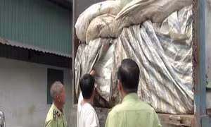 Thành phố Hồ Chí Minh