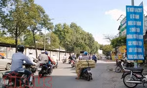 Thành phố Hồ Chí Minh