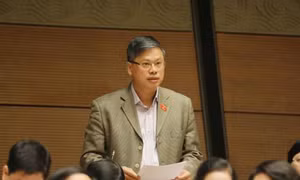Luật Cạnh tranh hướng đến 3 'chống'