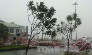 Ủy ban Trung ương MTTQ kêu gọi ủng hộ đồng bào miền Trung 