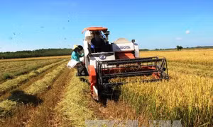 Ứng dụng khoa học tăng năng suất, chất lượng trong sản xuất nông nghiệp