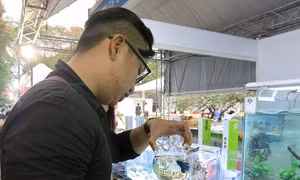 TP Hồ Chí Minh
