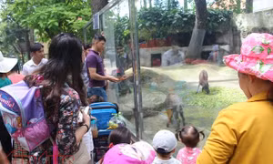 TP Hồ Chí Minh
